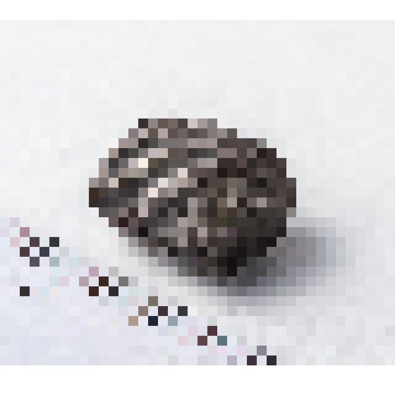 Дрота фрагмент