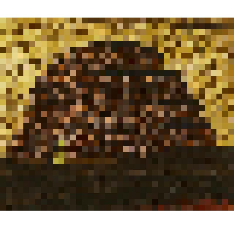 Глубоко вросшие корни -I