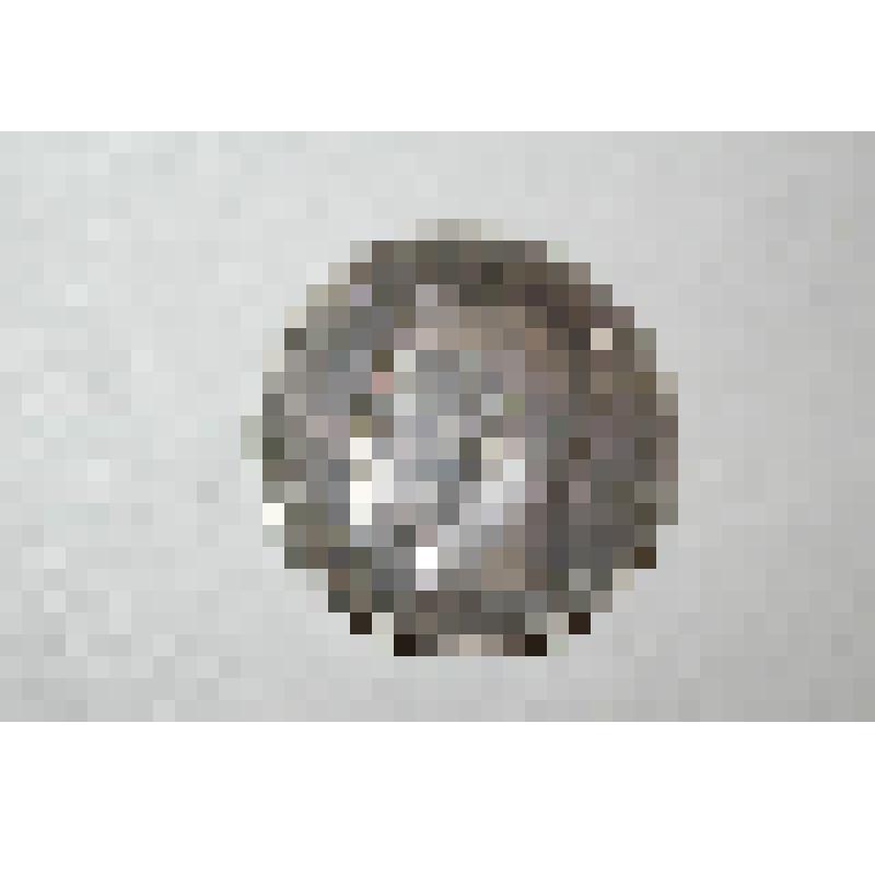 Монета. 1 рубль