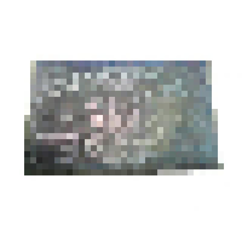 Клише рисунка чека Натурсоюза «Разум и совесть» (аверс)