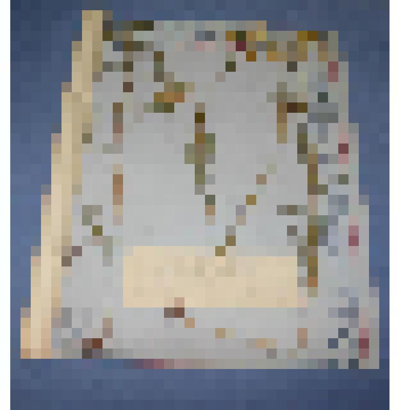 Ботаническая коллекция. Тысячелистник обыкновенный, семейство сложноцветные, на гербарном листе, от Согры 100м на восток, разнотравные пойменные луга по реке Абакан