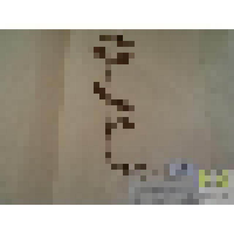 Черноголовка обыкновенная (Prunella vulgaris L.)