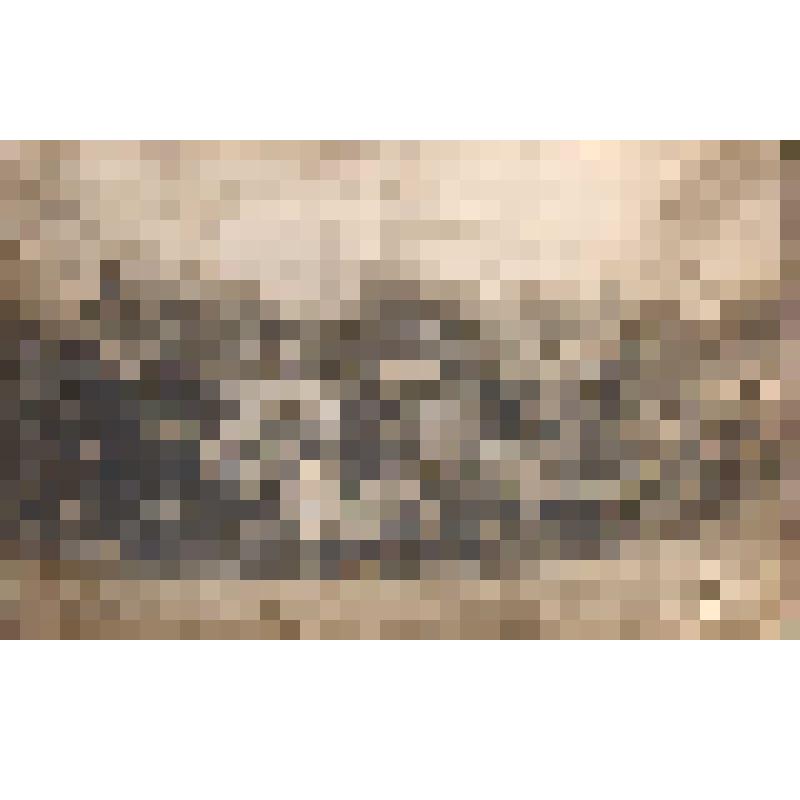 Фотография. Группа артиллеристов