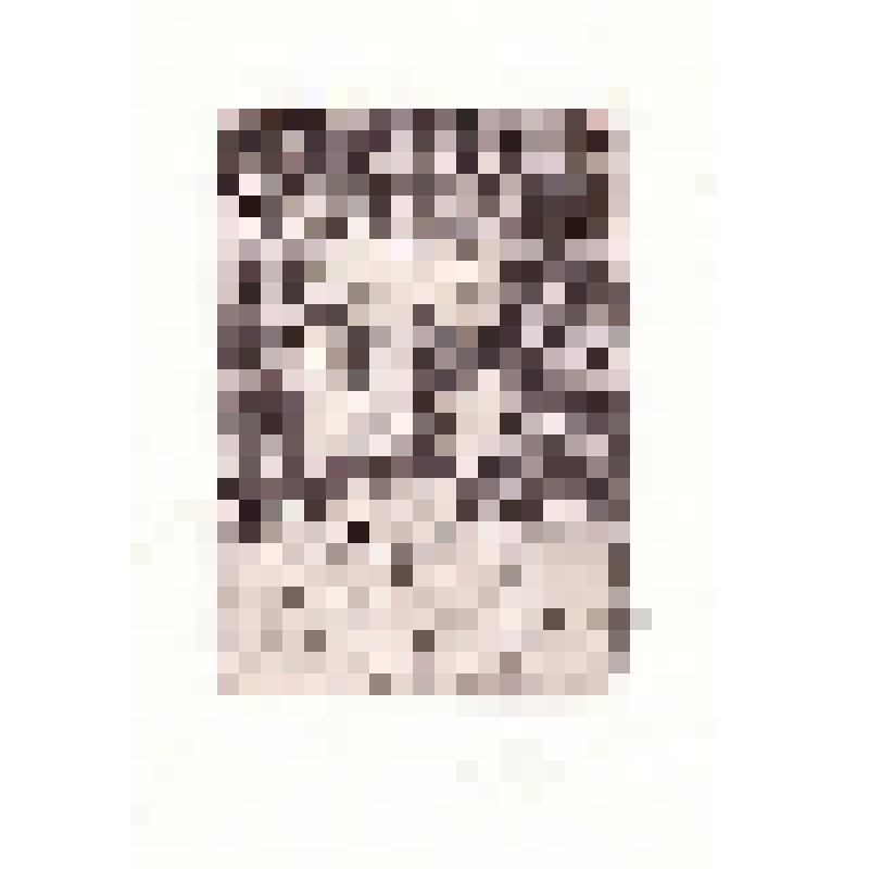 Экслибрис "Ex Libris К.В.И."