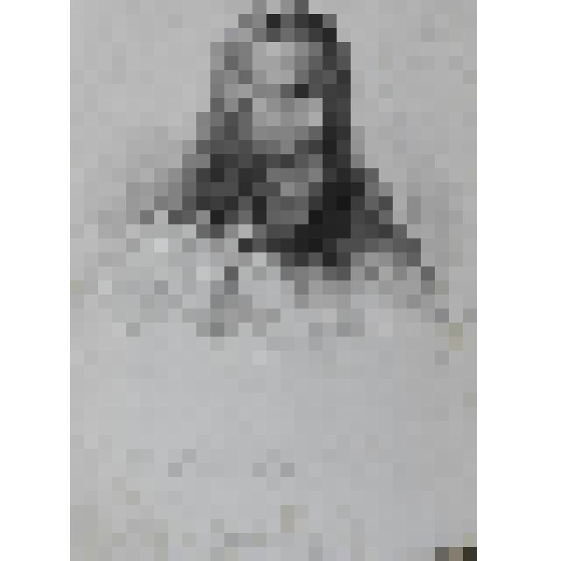 Портрет Карла Великого