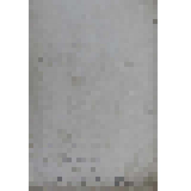 Портрет Карла Великого