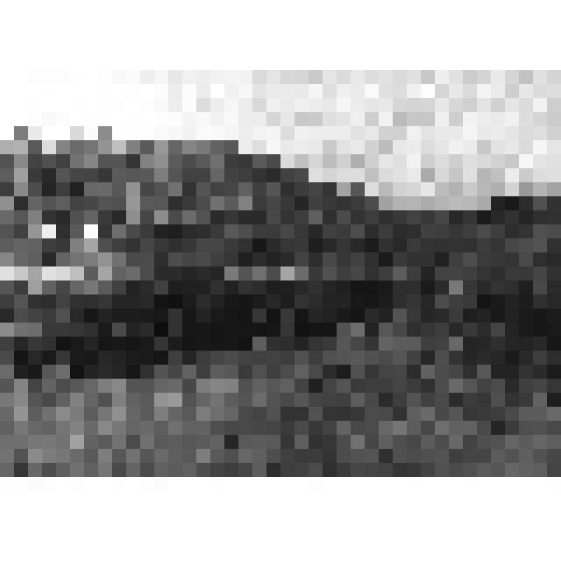 Заросший пруд