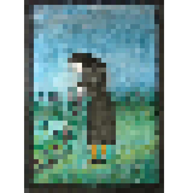 Ветер веков