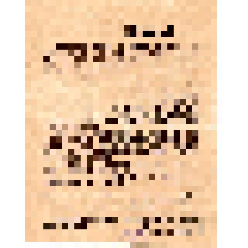 Отдел народного просвещения Сокольнического совета рабочих и красноармейских депутатов. Товарищи!