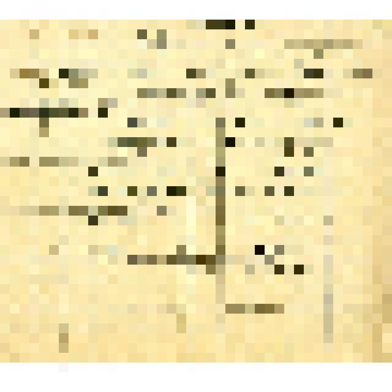 Документ. Справка Правления Полбинского колхоза им. 1-го Мая Полбинского сельсовета Егорьевского района Московской области, выданная Малютиной Рите Петровне в том, что Правление отпускает ее в г. Москву для продажи продуктов, полученных за работу в колхоз