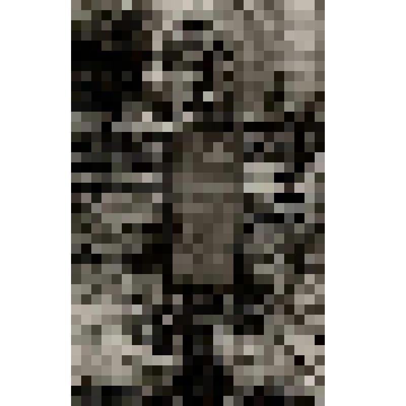 Фотография. Вид братской могилы жертв польско-литовской интервенции в с. Архангельском