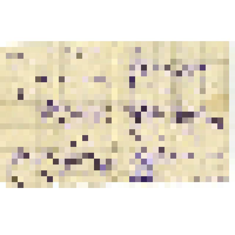 Аттестат № 2393  Трубина Григория Федоровича об окончании Рутченковской средней школы