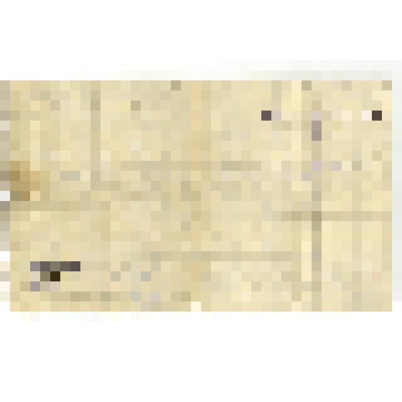 Аттестат № 2393  Трубина Григория Федоровича об окончании Рутченковской средней школы