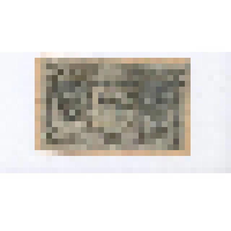 Знак казначейский Сибирского временного правительства достоинством 300 рублей