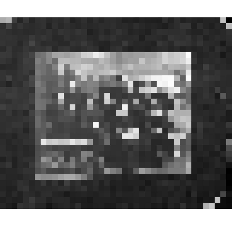 Фотография. Учащиеся 3-годичных педагогических курсов (женское отделение)