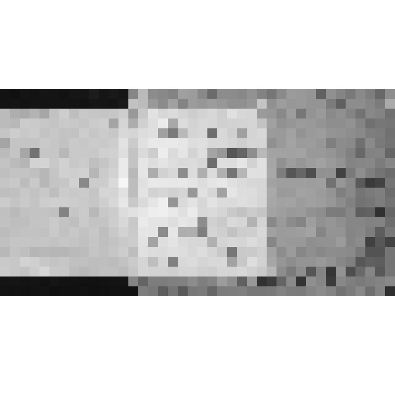 Фотография. Учащиеся 3-годичных педагогических курсов (женское отделение)