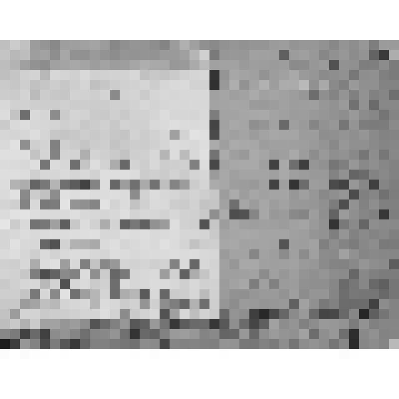 Фотография. Учащиеся 3-годичных педагогических курсов (женское отделение)