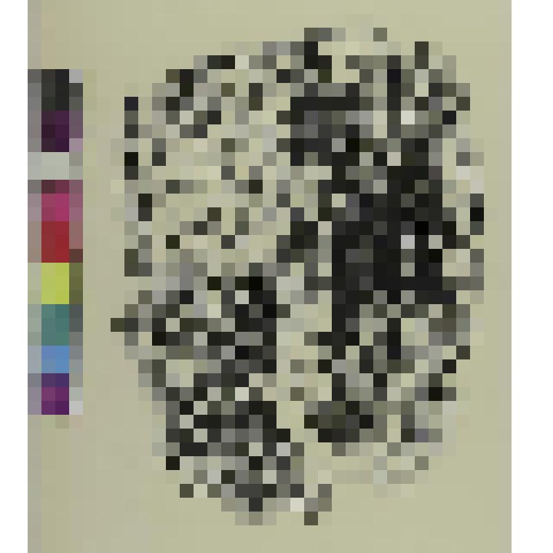 Мужчина в комнате, гравюра