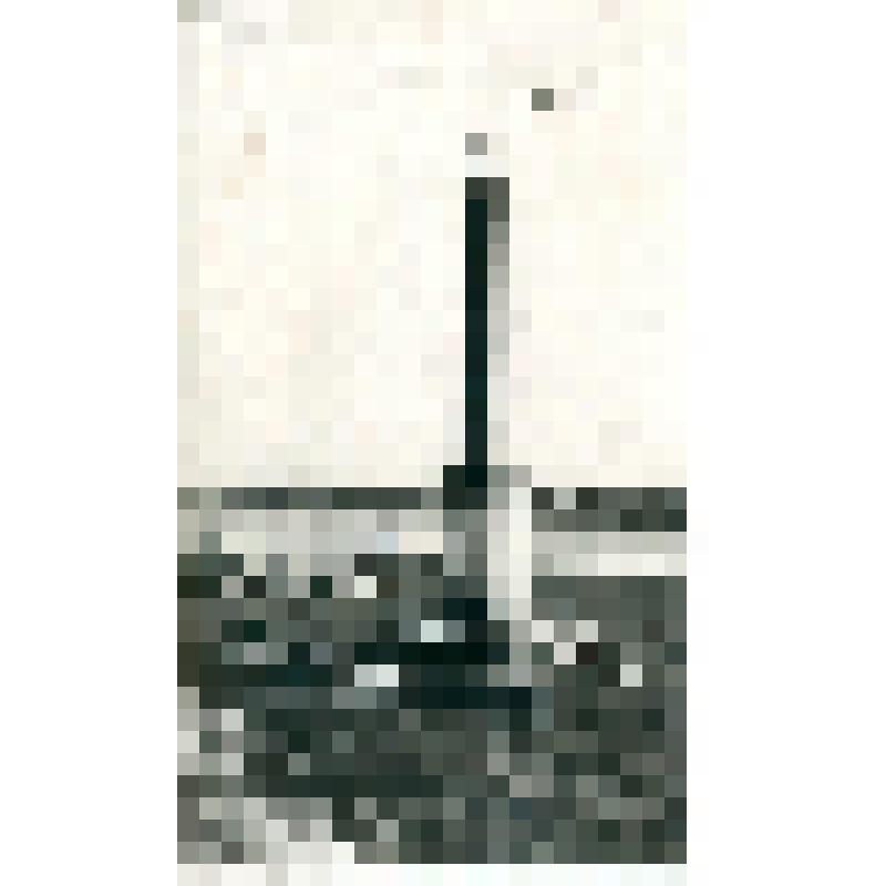 Фотография. Памятник Черскому И.Д. пос. Колымское Нижнеколымский район. 60-е г.г