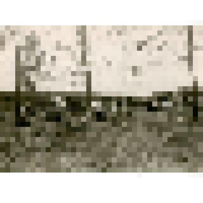 Фотография. Жилище якутов