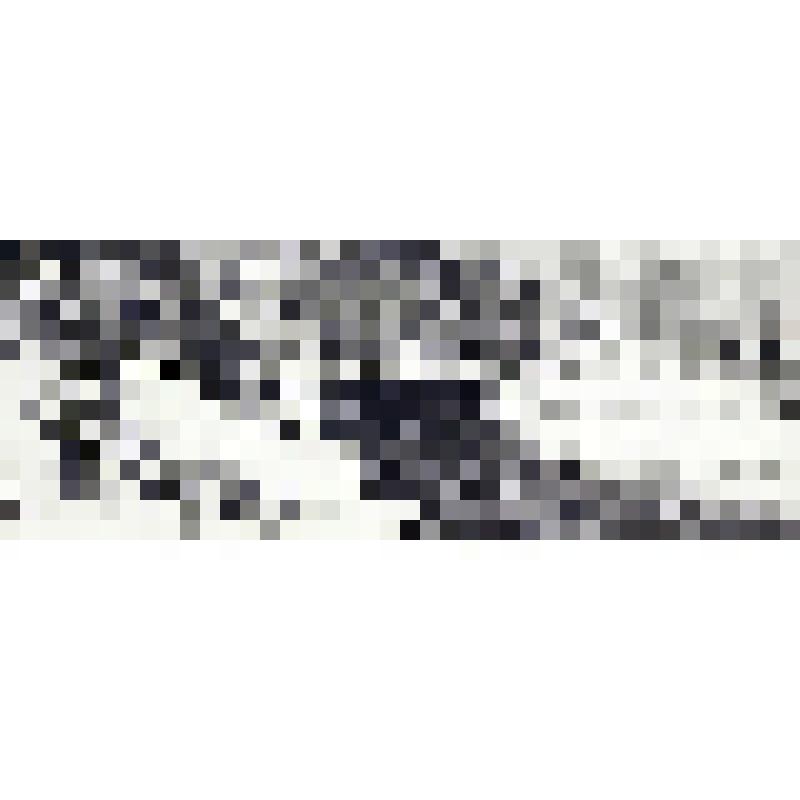 Ноябрь