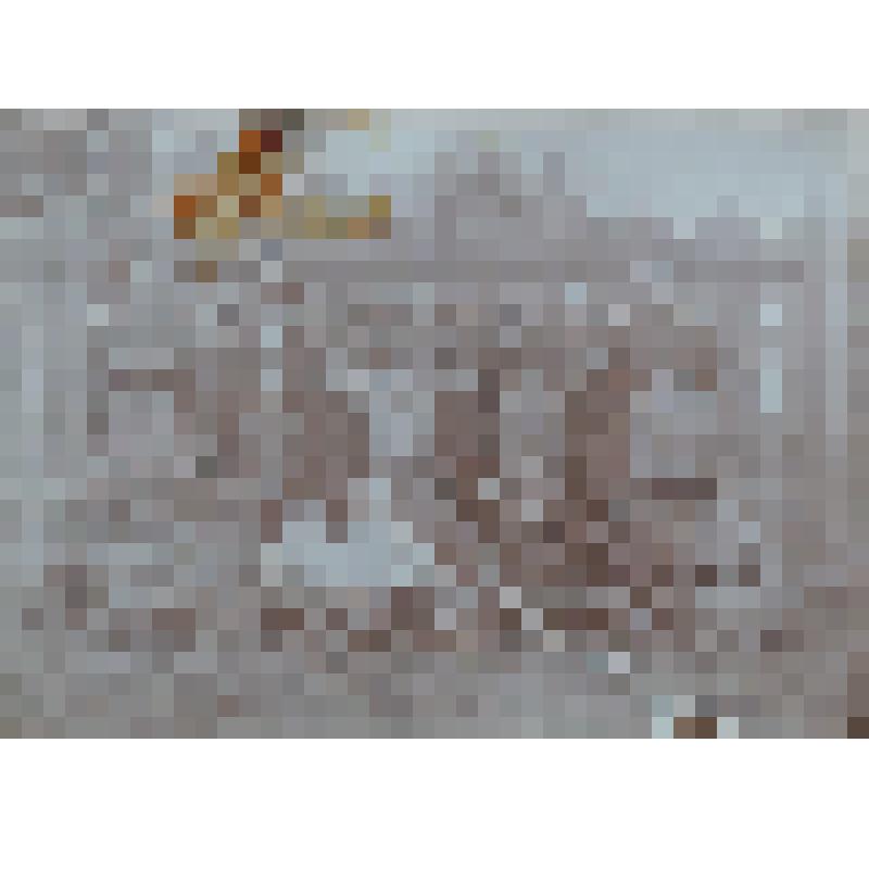 Фотогафия. Выпуск учащихся трёхклассного мужского училища.Преподаватель Вайпалин Иван Алексеевич