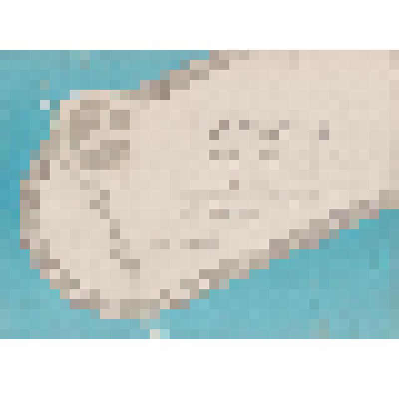 Грамота, Сахалинский баскомфлот  награждает Команду п.[орта] Поронайск,  II место по многоборью комплекса ГТО в зачет первой бассейновой рабочей спартакиады, Председатель баскомфлота Н.В. Чайка, п. Ванино, 2-4.06.89 г