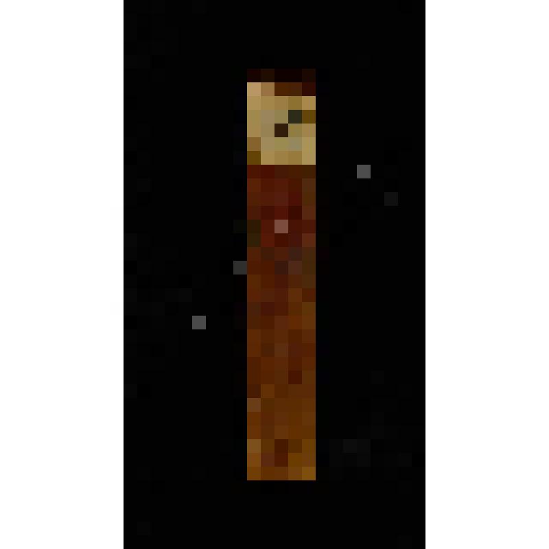 Конволют. Московский телеграф: Журнал. Ч.XXVI /Издаваемый Николаем Полевым.- М.: В типогр. А.Семена, при Имп. Медико-хирургической академии, 1829.- №5-8, март-апр.-