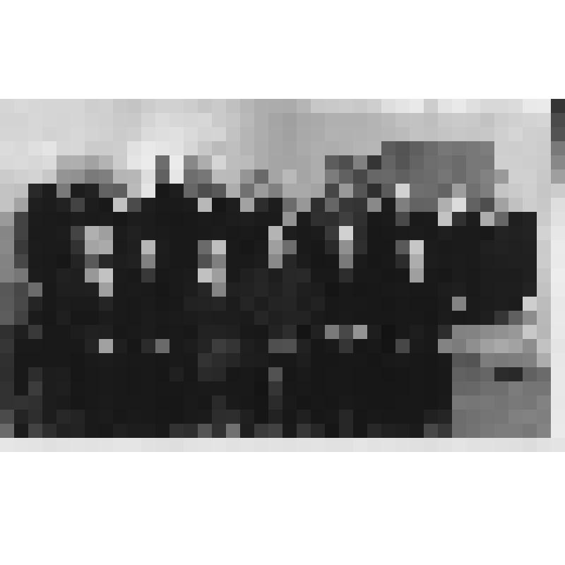 Фото. Члены Мордовского обкома КПСС и ветераны войны и труда