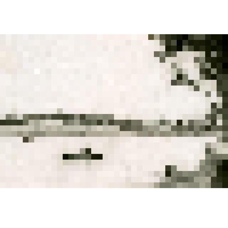 Фотография. Село Измайлово