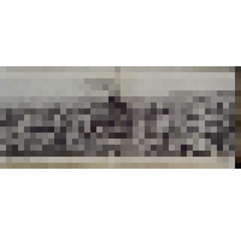 Фототипия-складень.Панорама Бородинского сражения 26 августа 1812 года (в обложке)