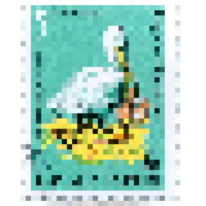 Марка почтовая. Птица пеликан кудрявый (Pelecanus crispus). Номинал 5 болгарских стотинок