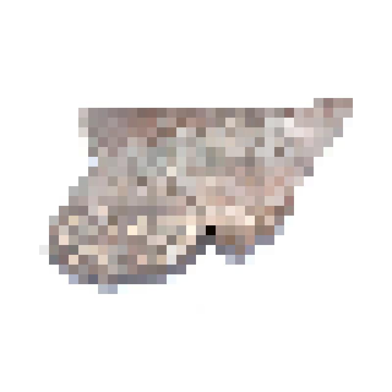 Сосуд (фрагмент)
