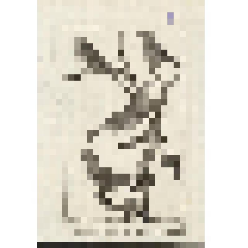 "Histoire Naturelle. Pl. X. Fig. 1.Pie-Grieche de Madagascar. Fig. 2. Tangana cardinal du Bresil. Fig.3.La Veuve a quatre Brins. Fig.4.Manakin de Cayenne. Antonio Baratti sc. Гравюра