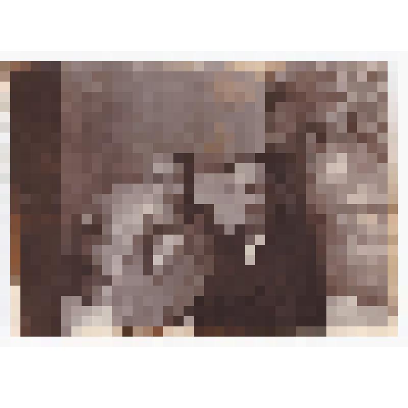 Фото черно-белое. Валиахметова Гульзиган и Валиахметов Хазимухамет В