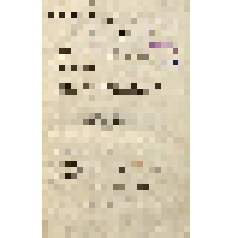 Книга. Преполезнейшия выписки выбранныя из бесед святаго Иоанна Златоустаго, писанныя на Апостольския, разныя послания Святаго Апостола Павла