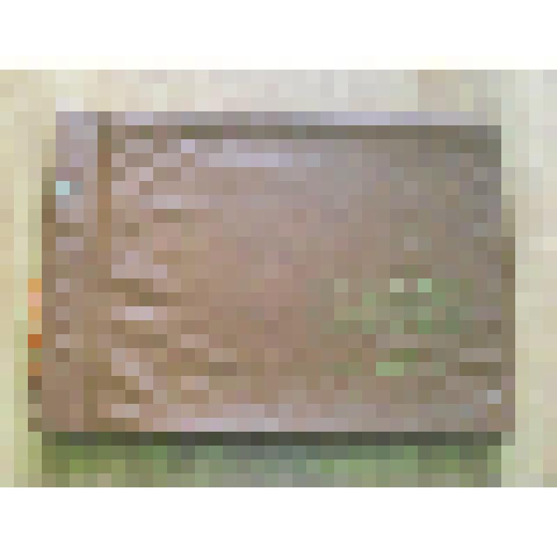 Альбом. Рапорт-эстафета