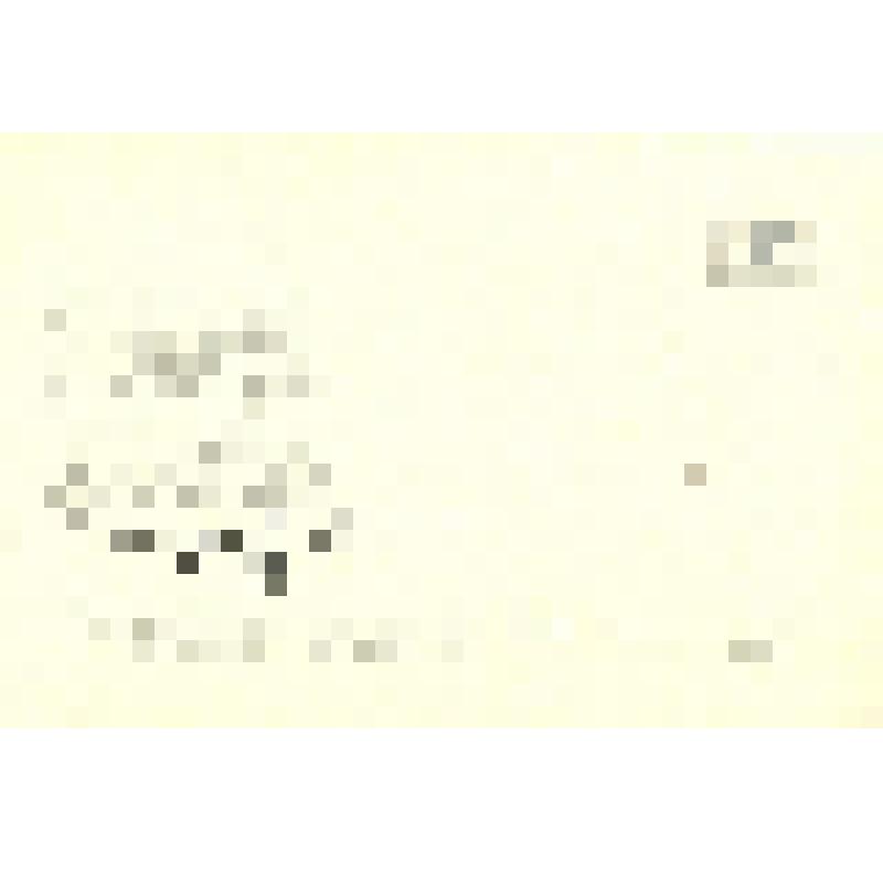 Фото-открытка цветная. Вячеслав Шалевич