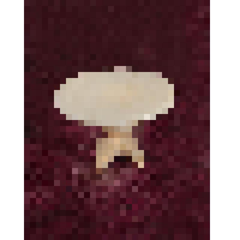 Коробка с костяными бирюльками: столик