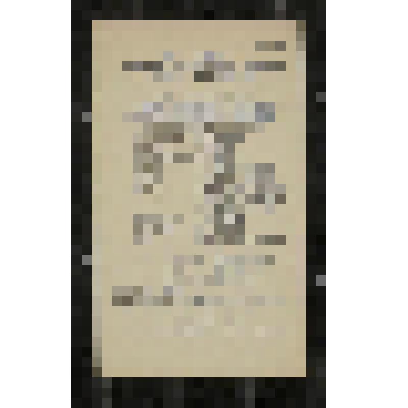 Программа. "Лебединое озеро" (Дирижер - Цейтлин А.Д. Постановка - Горский А.А., Мессерер А.М. Возобновление - Долинская Е.И. Художники - Самохвалов С.К., Федоров Л.А.). Москва. Филиал Государственного Академического Большого театра СССР