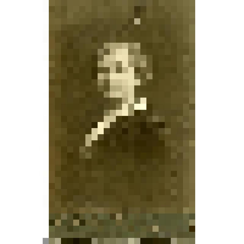 Портрет молодой женщины в платье с белым воротником. На фирменном бланке. Фотография