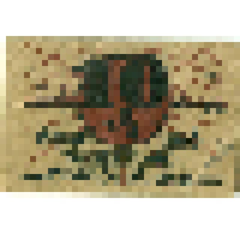 Бумажный денежный знак 10 пфеннигов 1921 года, Бранденбург