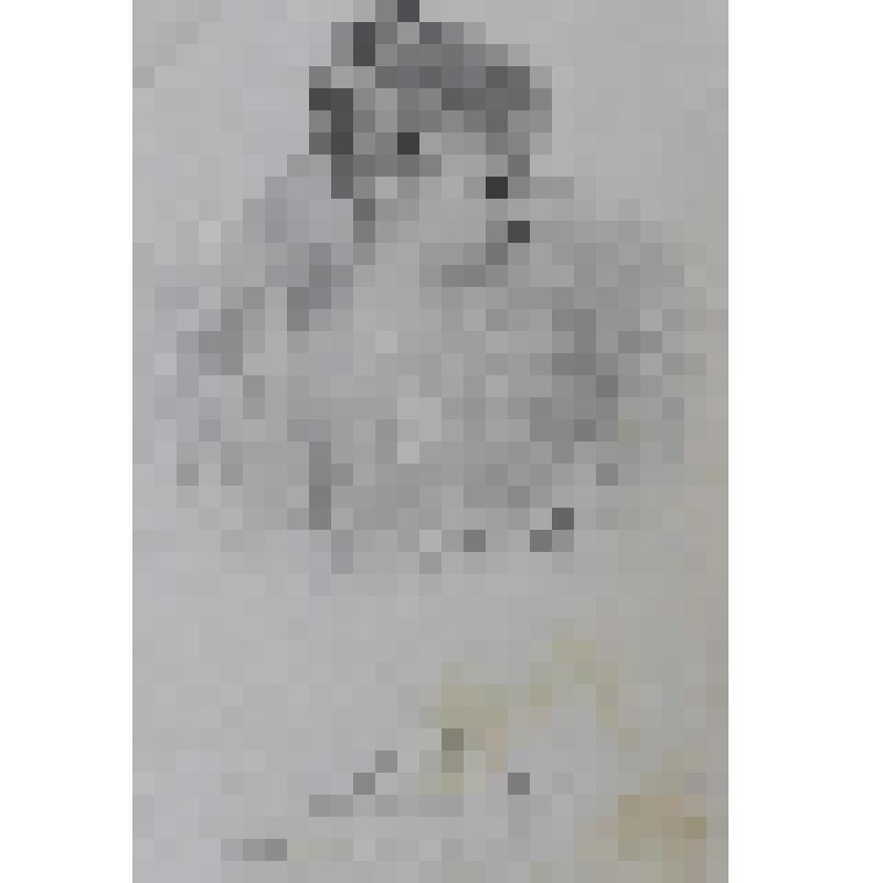 Портрет Елены, принцессы Орлеанской