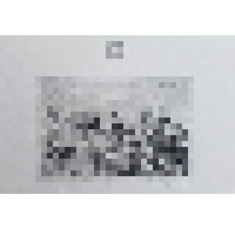 Гравюра. «Первая борозда». Даргинцы