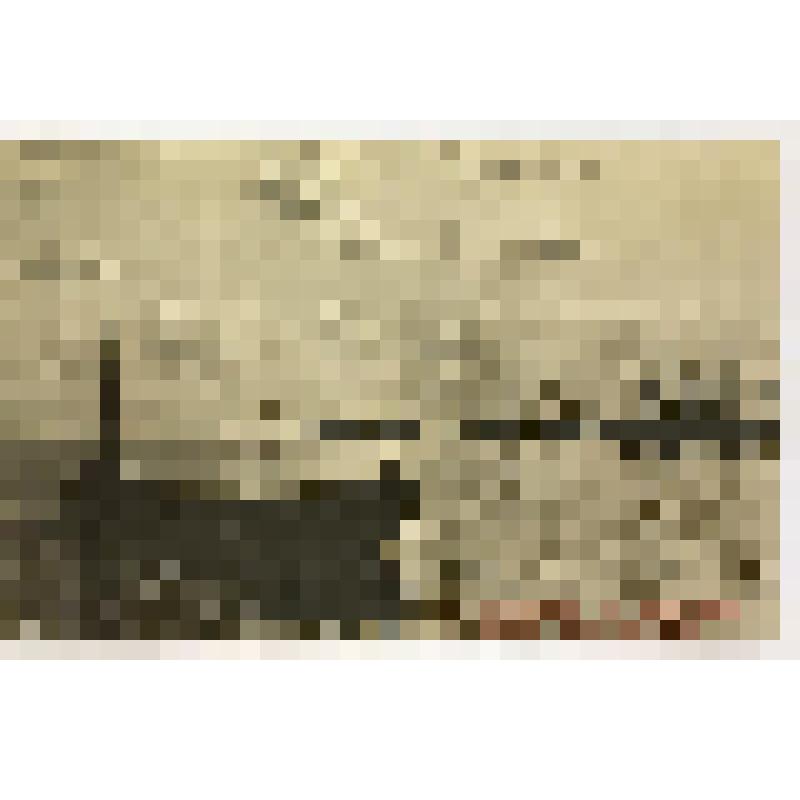 Открытка. Архангельск. С. Двина ночью. Открытки с видами старого Архангельска: