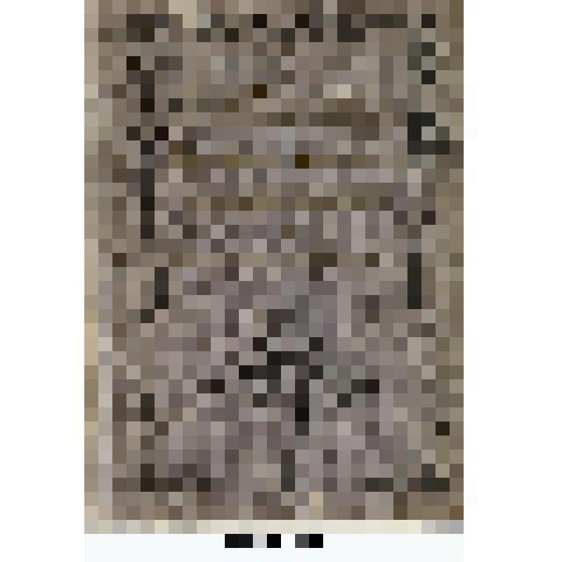 Книга. Письма к матерям об уходе за здоровым и больным ребенком