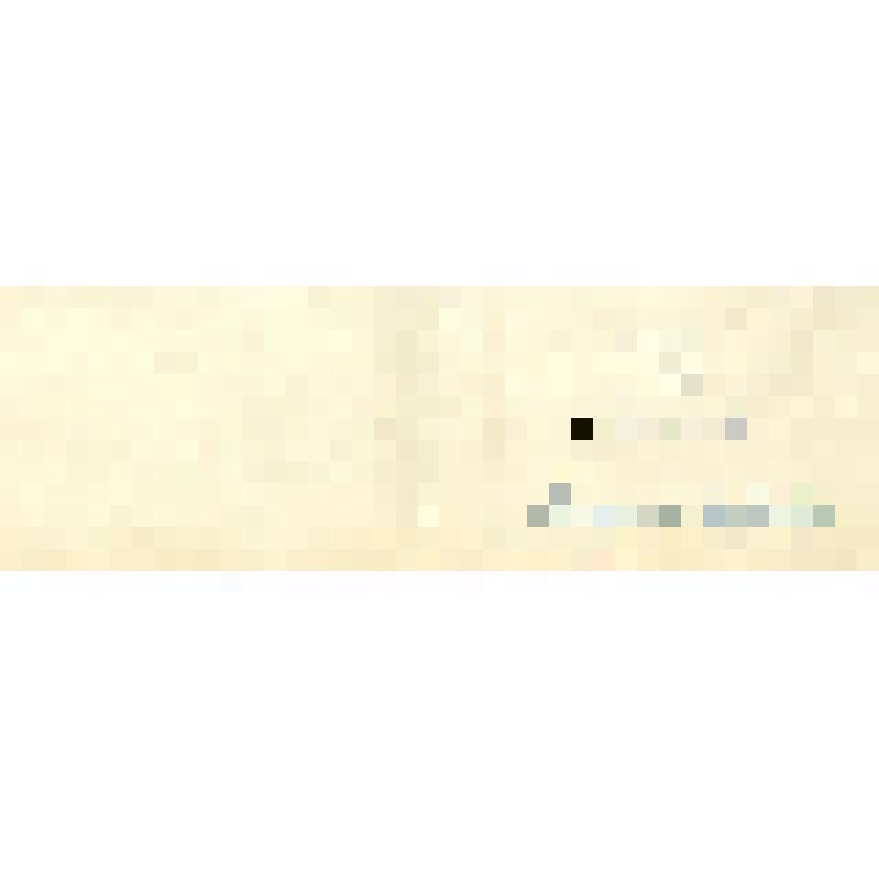 Документ. Пропуск на конгресс Центрального Комитета Румынской рабочей партии, выписанный на имя тов. Маргариты Малютиной 30 мая 1953 г