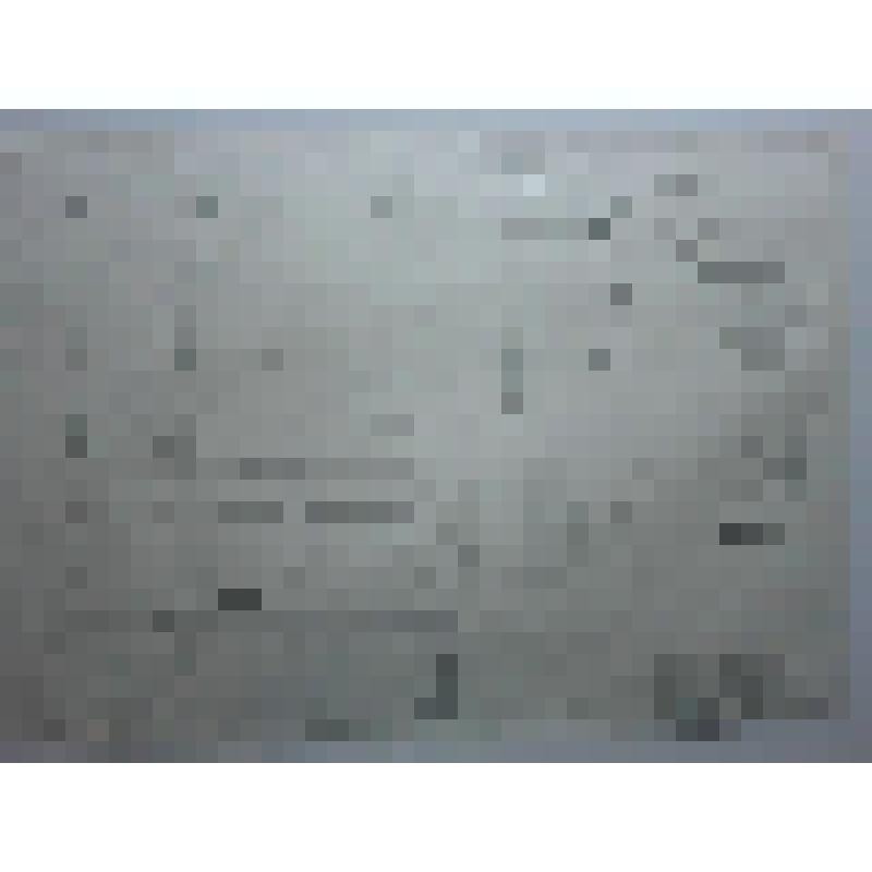 Усадьба Отрада (Орловых). ХVIII-ХIХ вв. Усадьба Отрада (Орловых). Бабакин; Бланк Карл Иванович (?). Металлическая решетка двери Д-1; деталь №1; кованый запор двери Д-1. "Мособлстройреставрация"