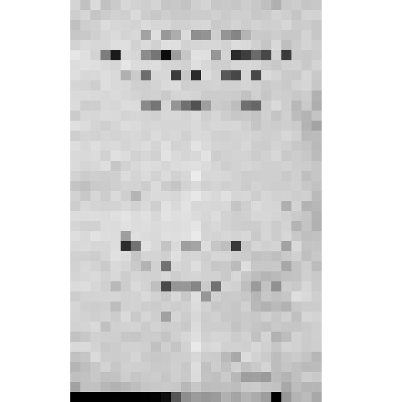 Грамота о награждении Указом императора Александра II от 22 августа 1860 г. начальника 25-го Башкирского кантона И. Уметбаева знаком отличия беспорочной службы для ношения на Георгиевской ленте