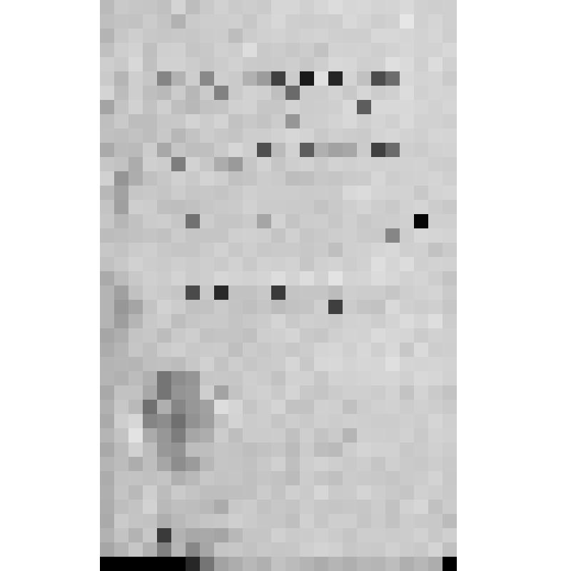 Грамота о награждении Указом императора Александра II от 22 августа 1860 г. начальника 25-го Башкирского кантона И. Уметбаева знаком отличия беспорочной службы для ношения на Георгиевской ленте